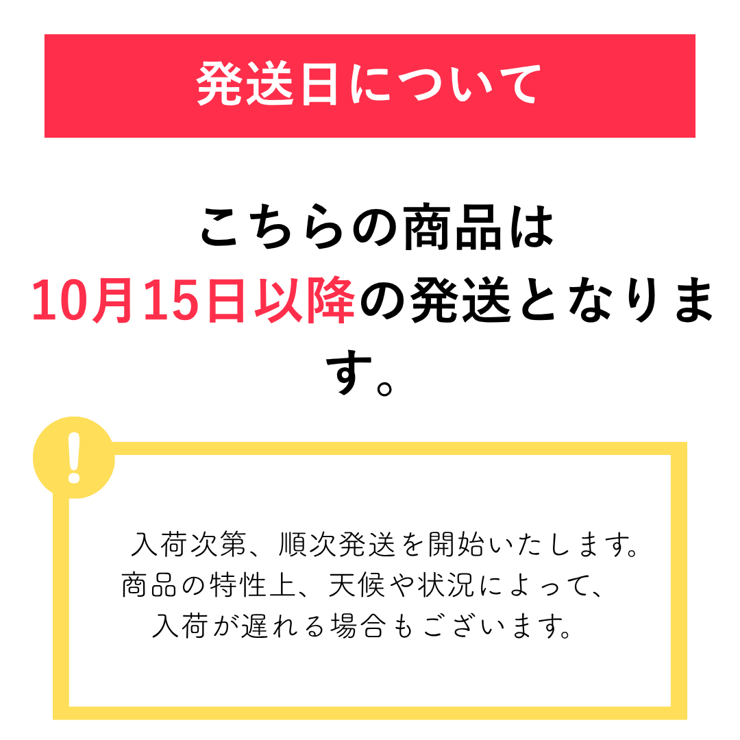 2026年度産　石川県産秋星りんご　