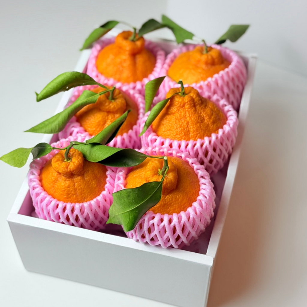 でこぽん 6個セット 樹上完熟蒲郡デコポン（6個入）