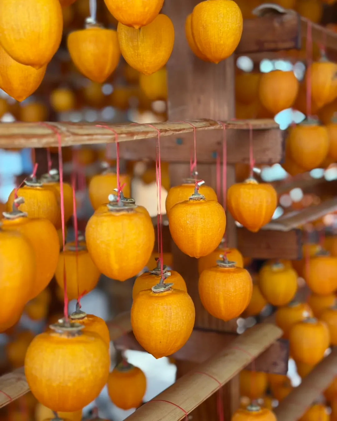 石川県産　能登産ころ柿　