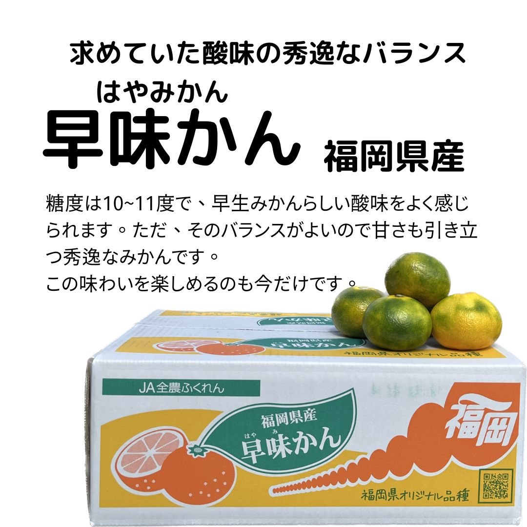 【早味かん】 福岡県産 極早生みかん