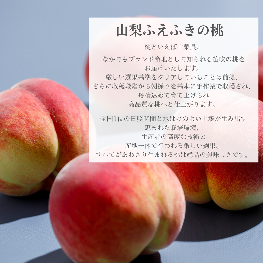 ３種のフルーツ詰合せ　【夏】