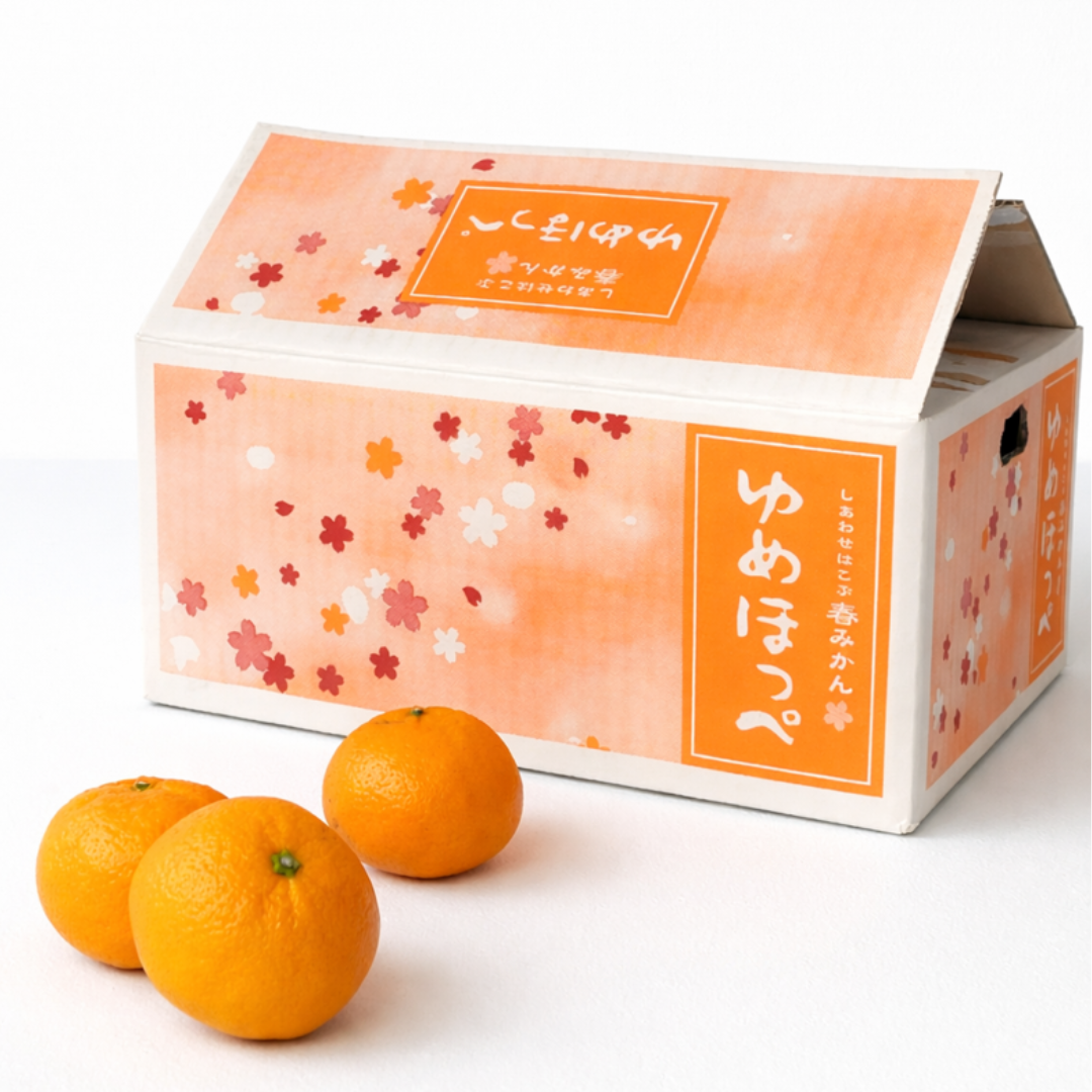 ゆめほっぺ　山口県産　オリジナル柑橘　清見×吉浦ポンカン