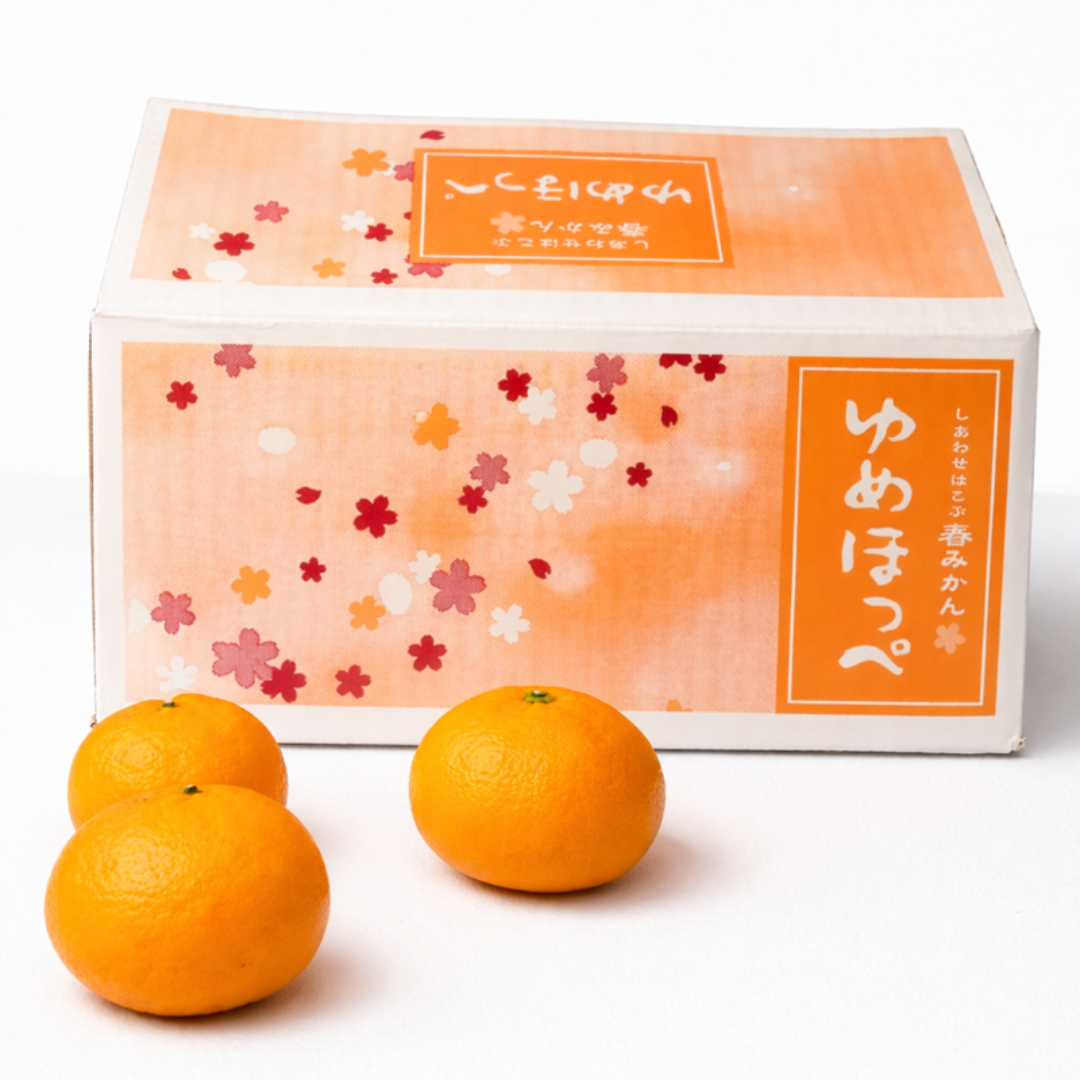 ゆめほっぺ　山口県産　オリジナル柑橘　清見×吉浦ポンカン