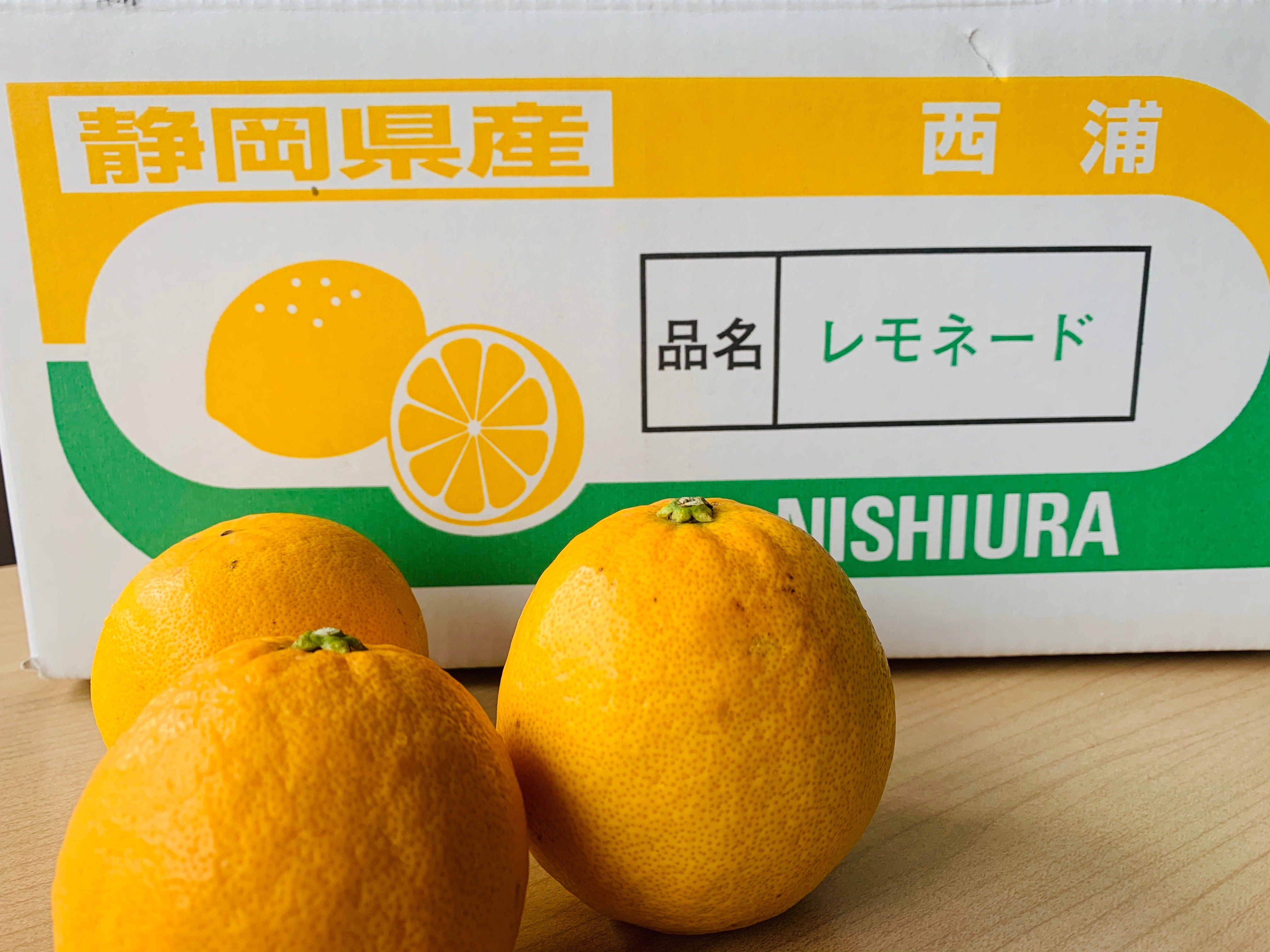 【販売中】2024年レモネード【生で食べられるレモン】