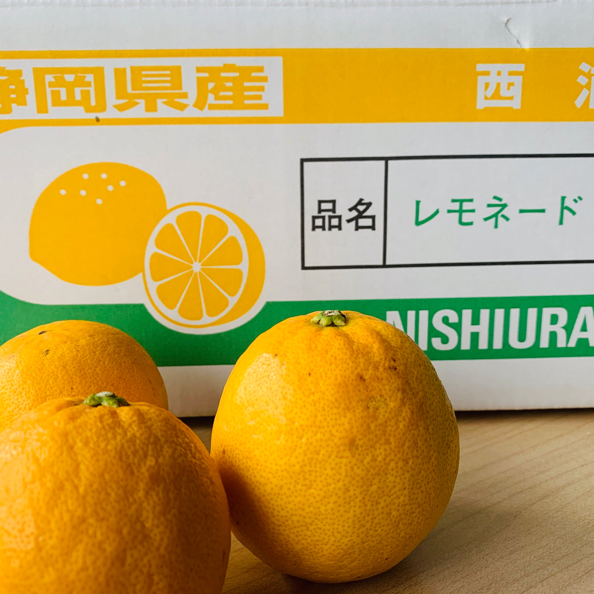 IMG_2070_1200x1200_crop_center