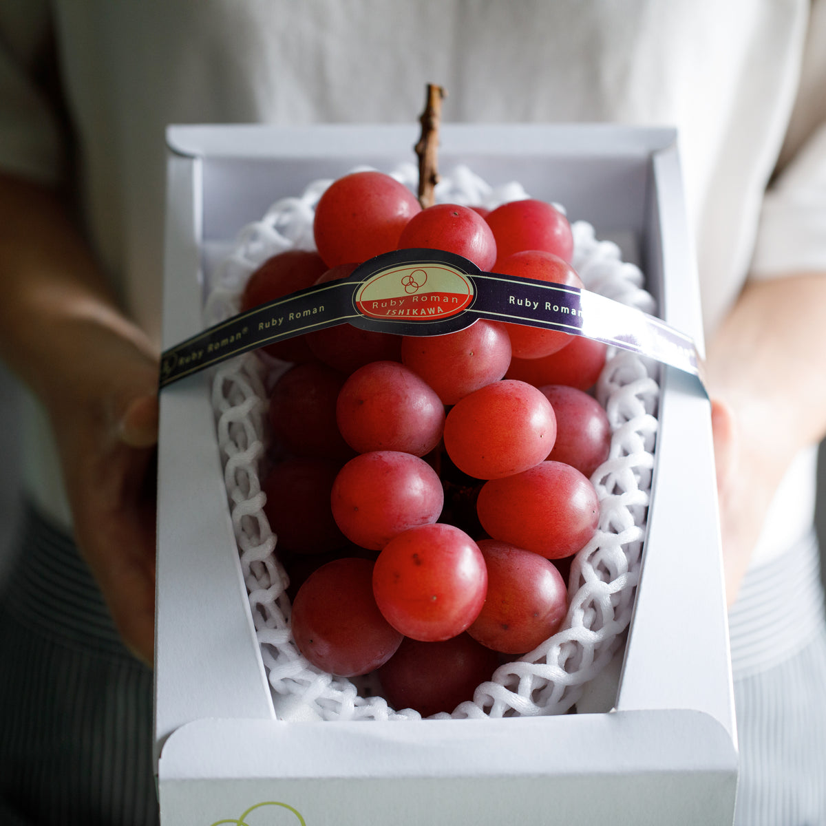 RPT7922_1200x1200_crop_center.