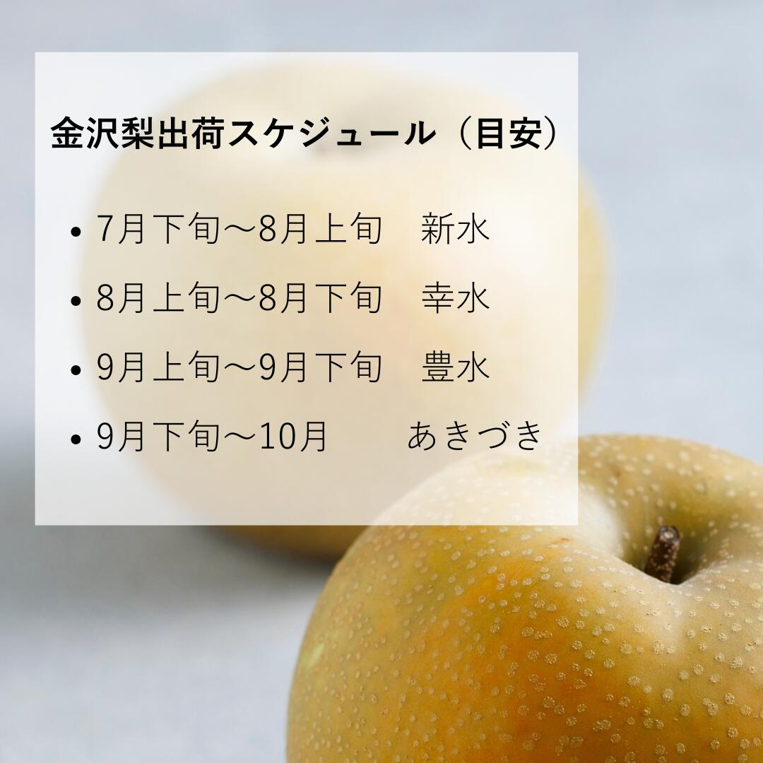 石川県直送 金沢梨