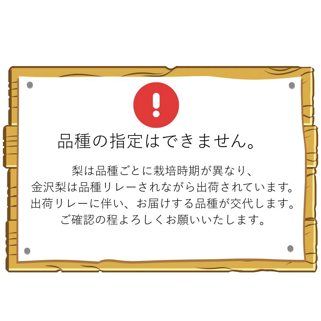 石川県直送 金沢梨