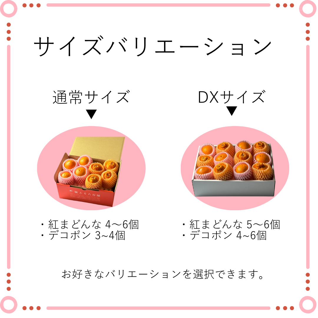 高級柑橘二種盛り