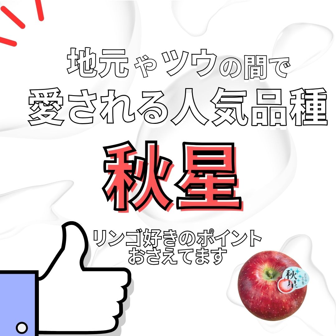 2026年度産　石川県産秋星りんご　