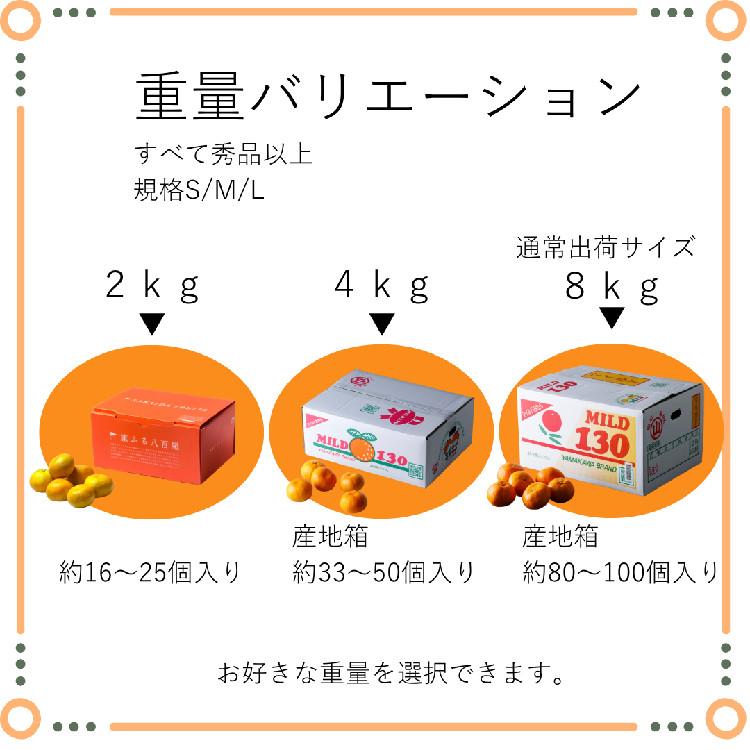 2026 山川みかんマイルド130