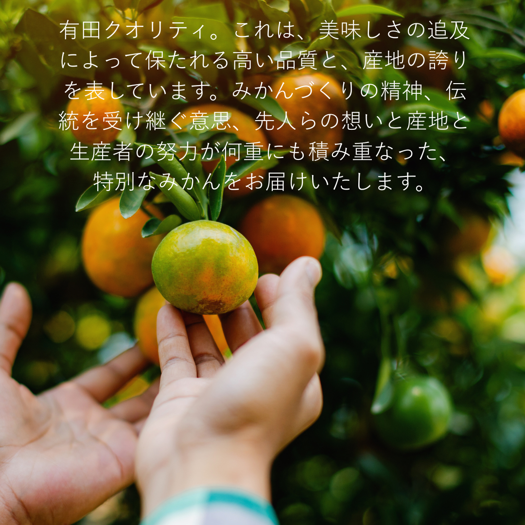 AQみかん