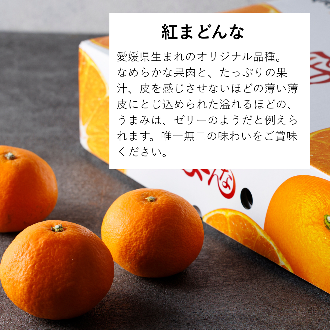 高級柑橘二種盛り