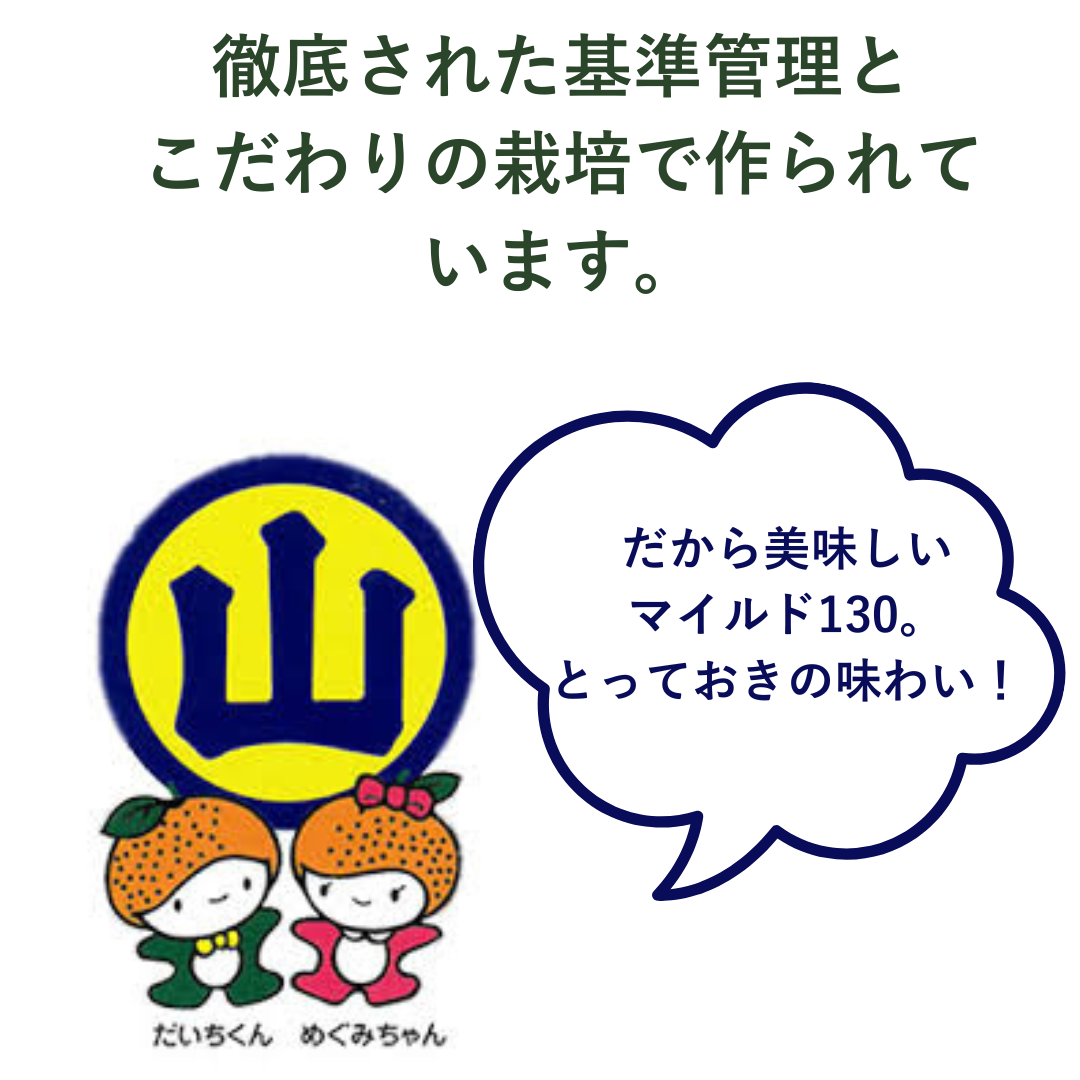 2026 山川みかんマイルド130