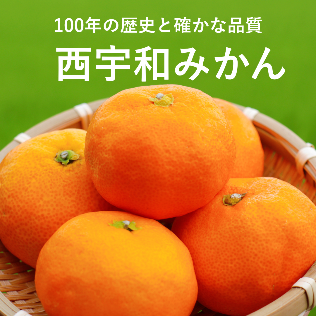 西宇和みかん