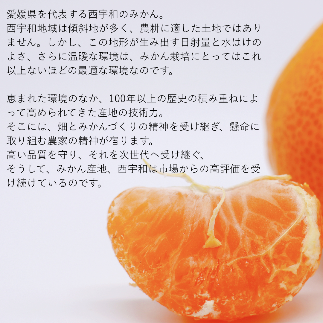 西宇和みかん